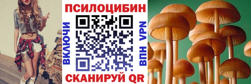 Купить где  Александровск  Галлюциногенные грибы Cubensis 